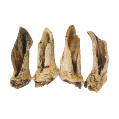 Hairy Lamb Ear - Low Fat Tasty Treat
