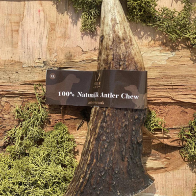 Elk Dog Chews - Very Hard Chew - 100% Natural