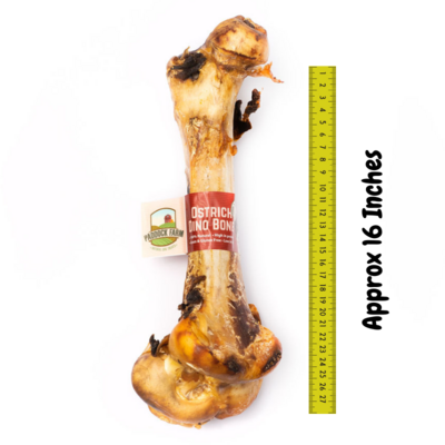 Ostrich Dino Bone Large- Super Low Fat, Guaranteed NO Splintering!