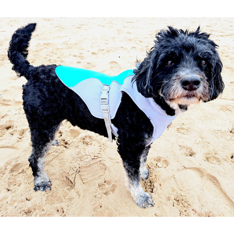 Cooling Coat For Dogs Keep your dog cool in the sun.