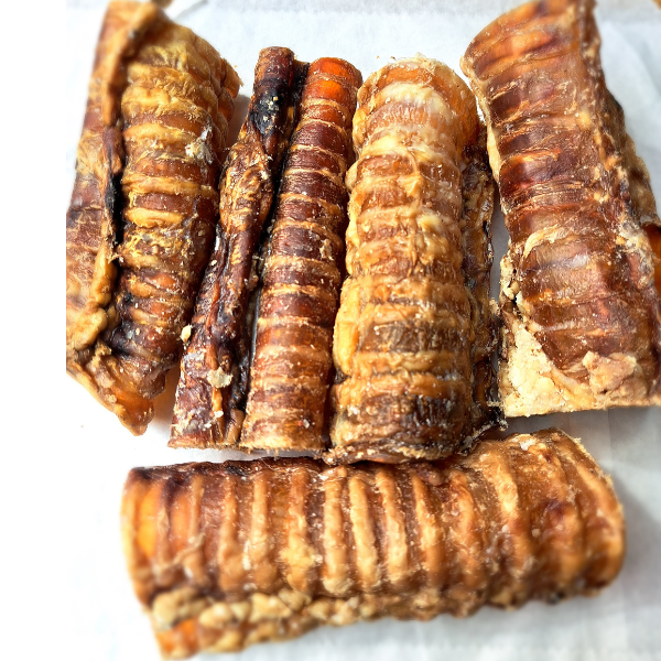 Beef Trachea x 5 A perfect Teeth Cleaner