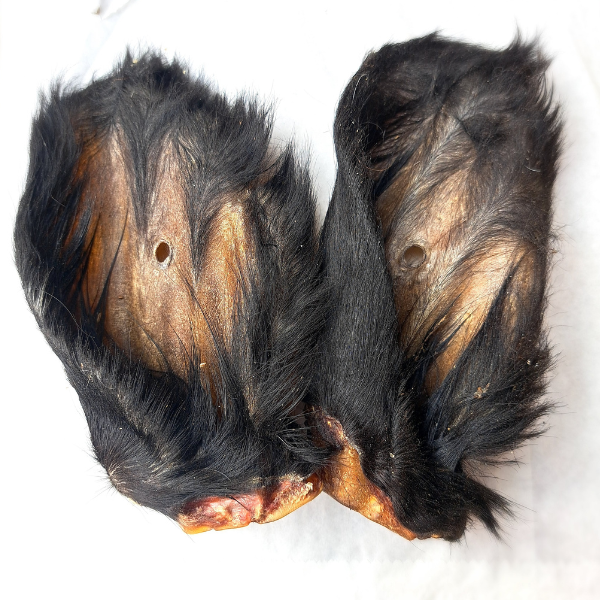 Cow Ears x 2 Great Healthy Chew &amp; Wormer