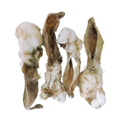 Image of four rabbit ears for dogs