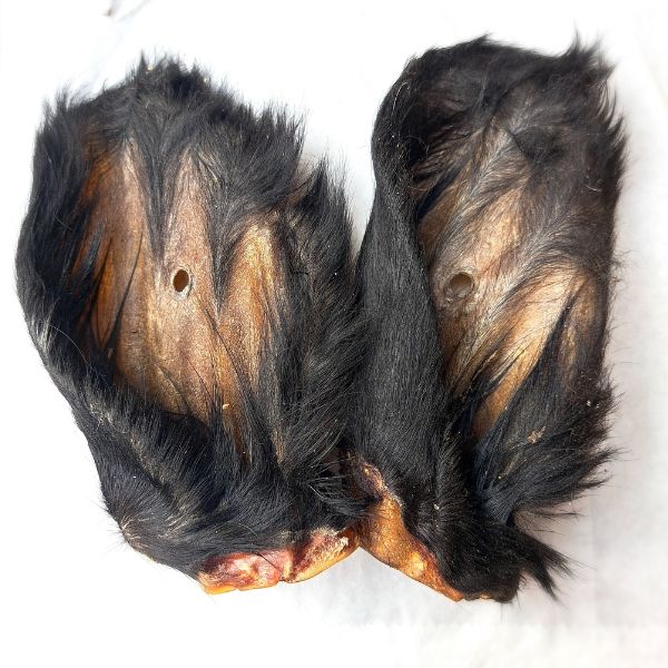 Cow Ears x 2 Great Healthy Chew &amp; Wormer