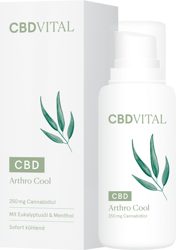 CBD  VITAL CBD Arthro COOL
