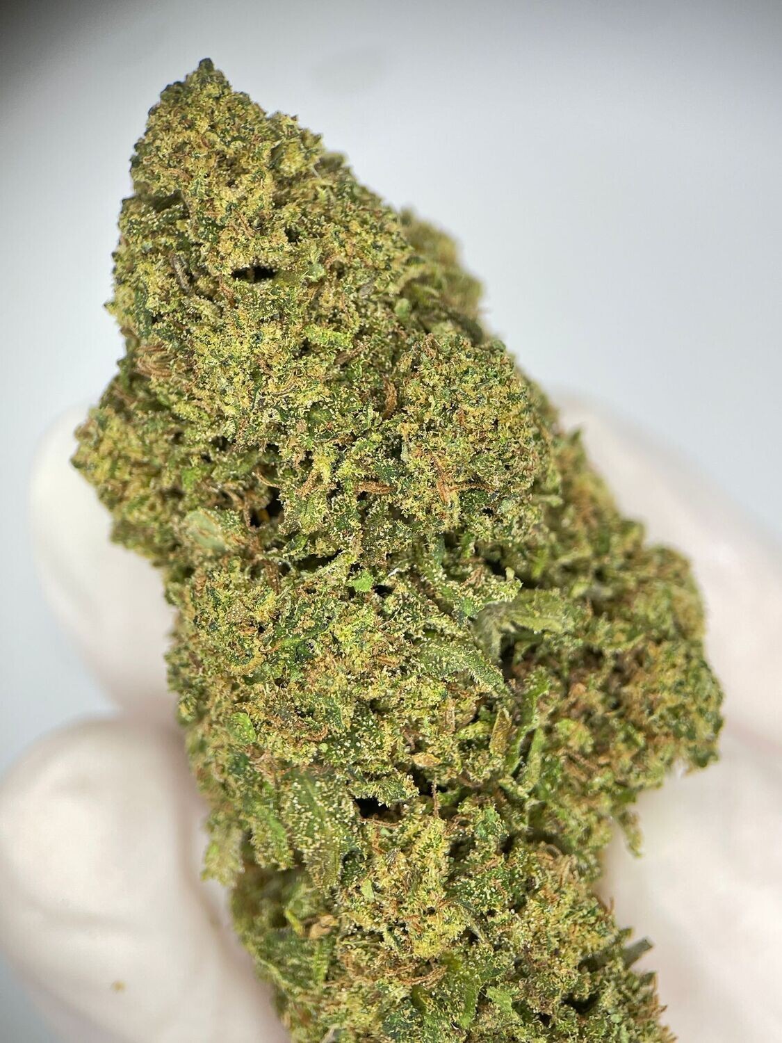 Amnesia  Haze THC-V