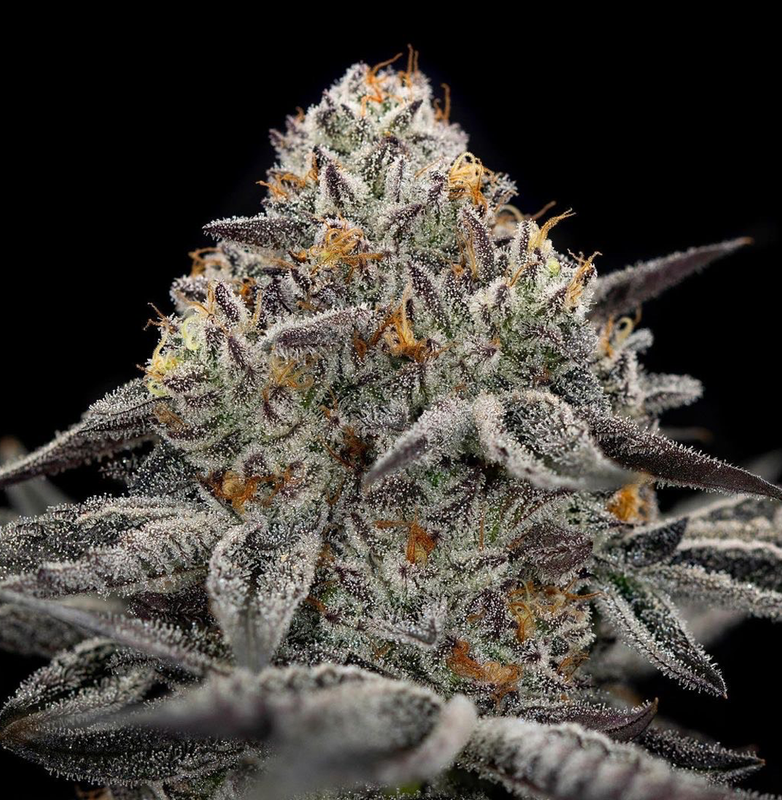 Oreoz