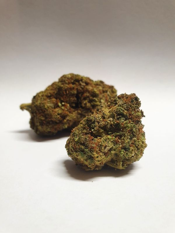 Jamaican Dream CB9 10%