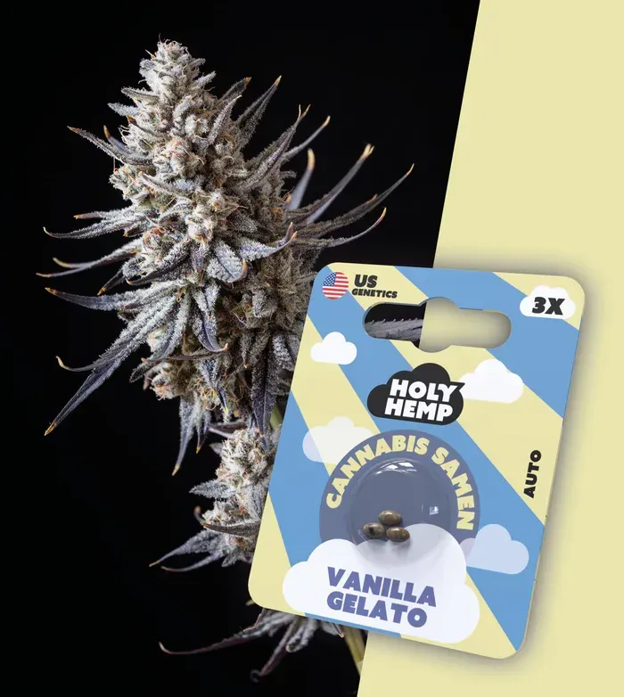 Vanilla Gelato - Cali Seeds