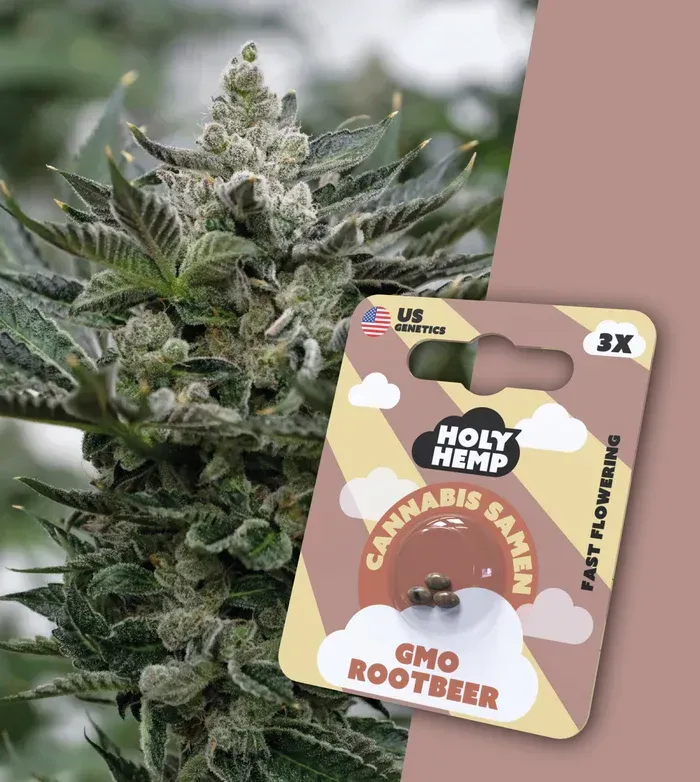 GMO Rootbeer - Cali Seeds