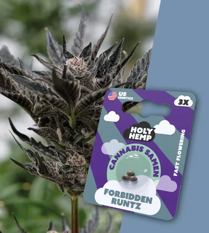 Forbidden Runtz - Cali Seeds