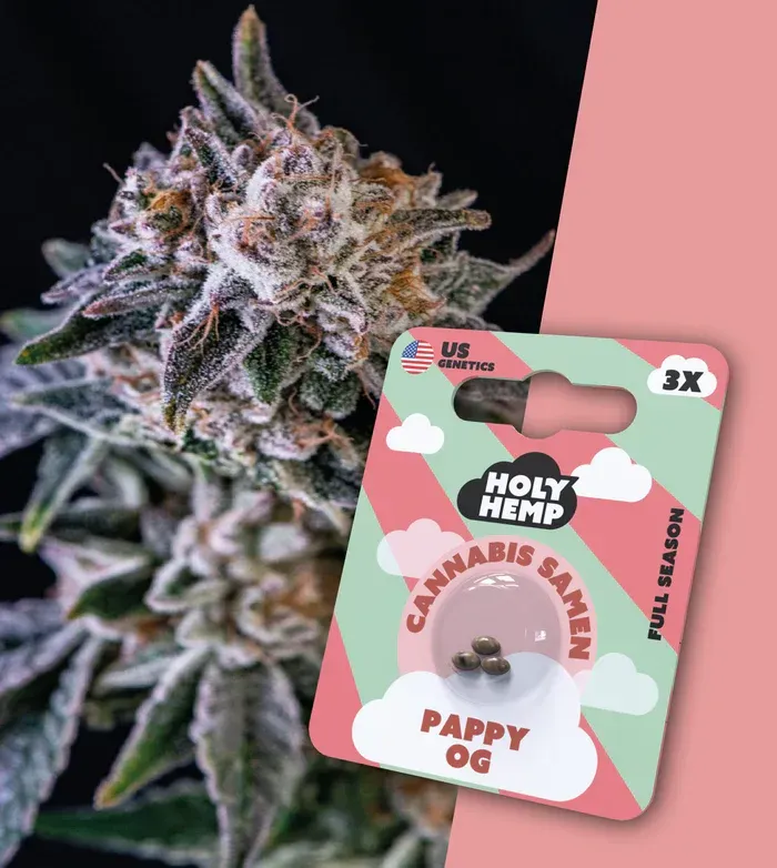 Pappy OG - Cali Seeds