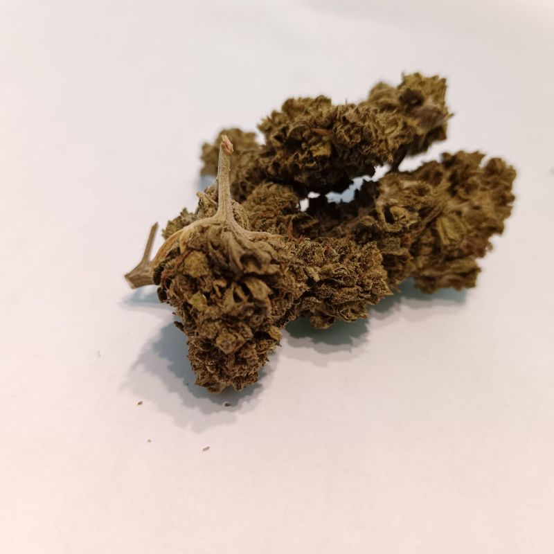 Chocolate Cream CBD