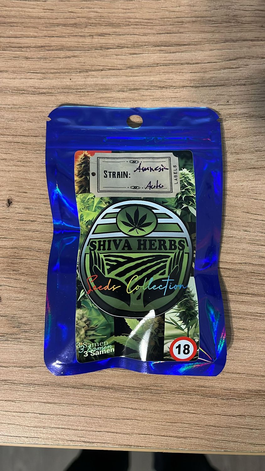 Amnesia Autoflowering – Klarheit und Potenz in Perfektion