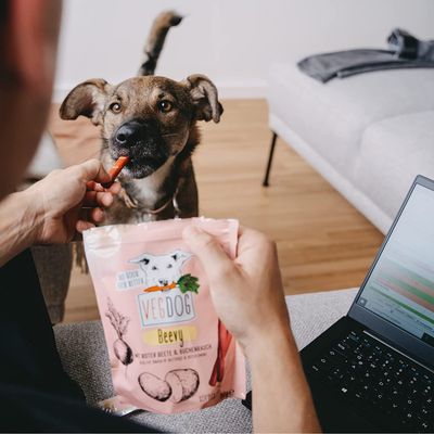 CBD für Tiere