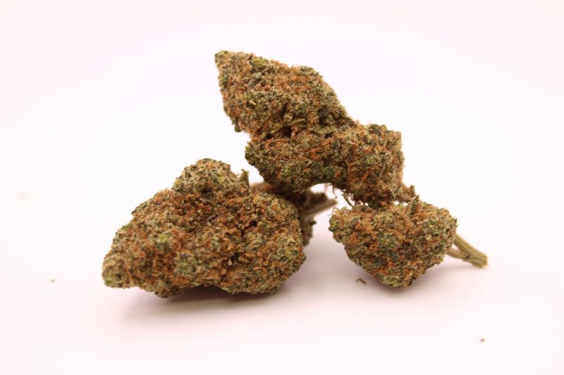 Area 51 CBG 9 Area 51 CBG 9