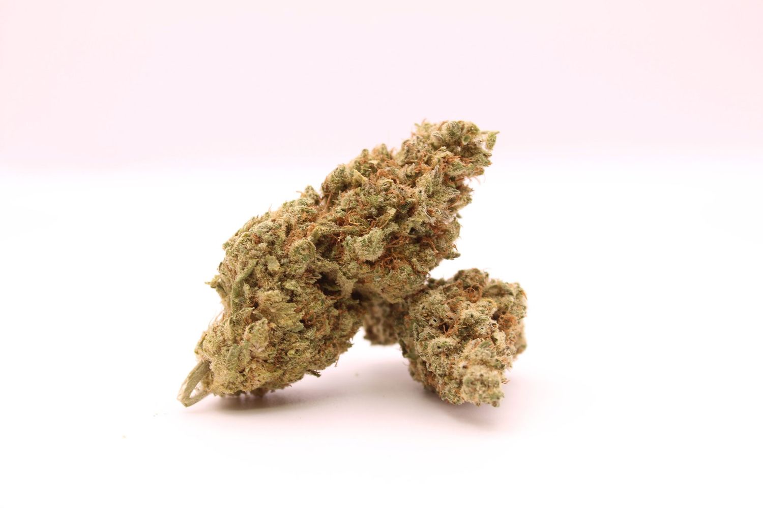 Northern Lights  15 %