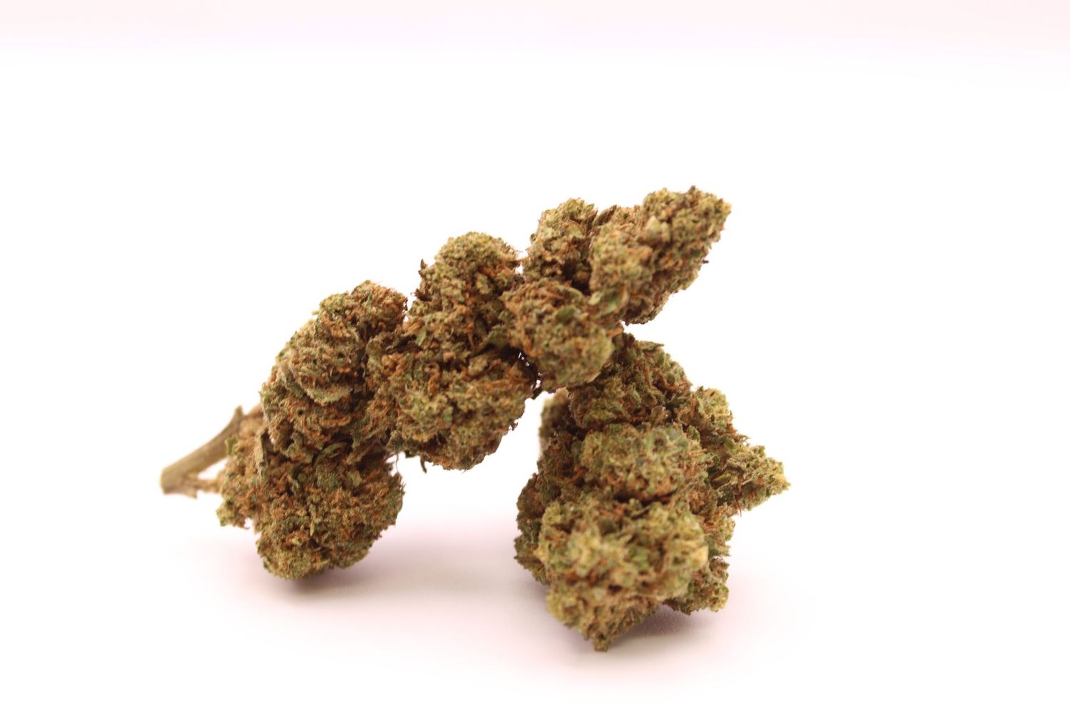 Wedding Crusher 10-OH