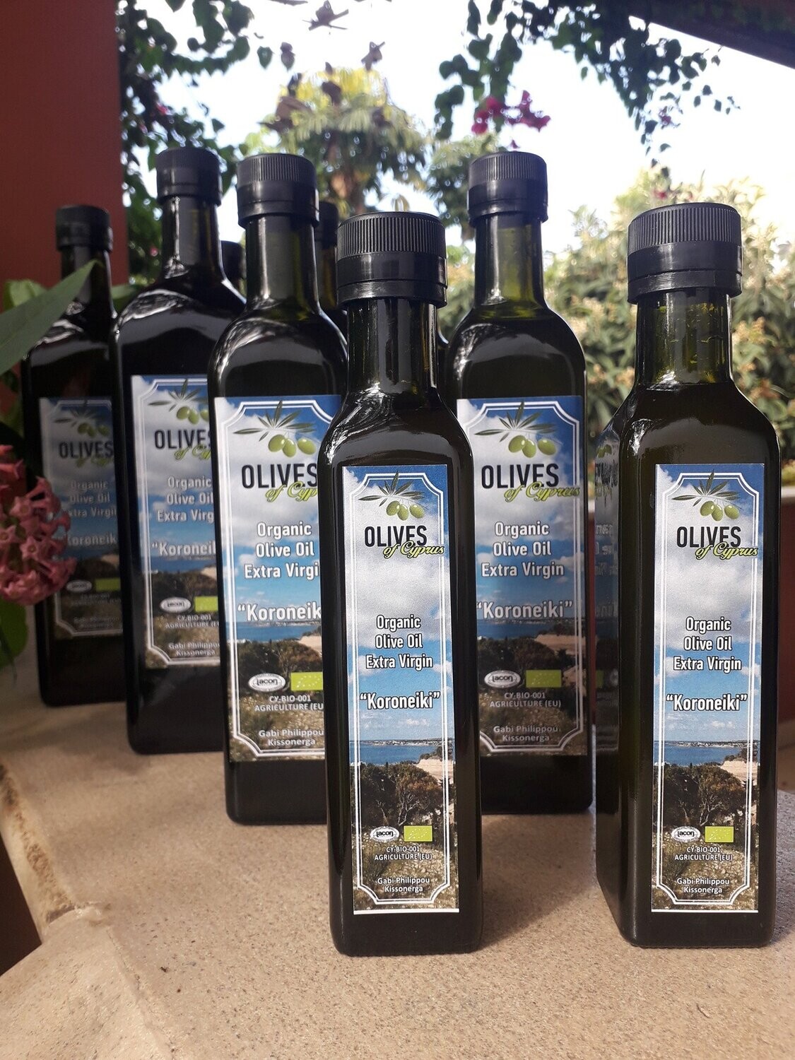 BIO Olivenöl 0,5L Zypern GabiPhilippou