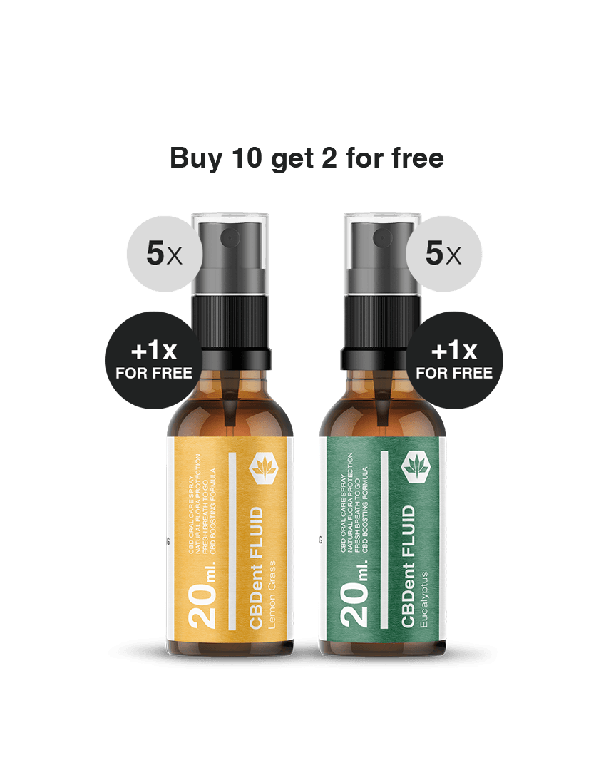 HM CB-Dent Fluid 10+2 Set
