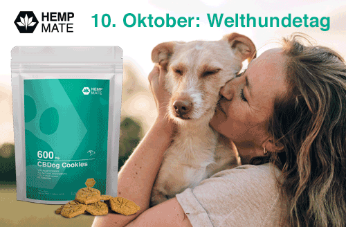 CB-Dog Cookies - DAS Leckerli- 600mg