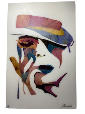 CUADRO 20x25