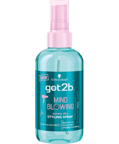 Schwarzkopf got2b Mind Blowing  Xpress Dry Styling Spray
