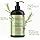 Mielle Organics Conditioner, Strengthening, 12 Ounce, Rosemary Mint Biotin, Conditioner