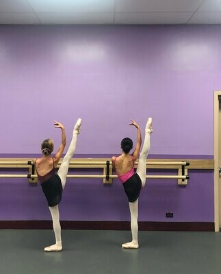 Fall and Spring - Ballet IV