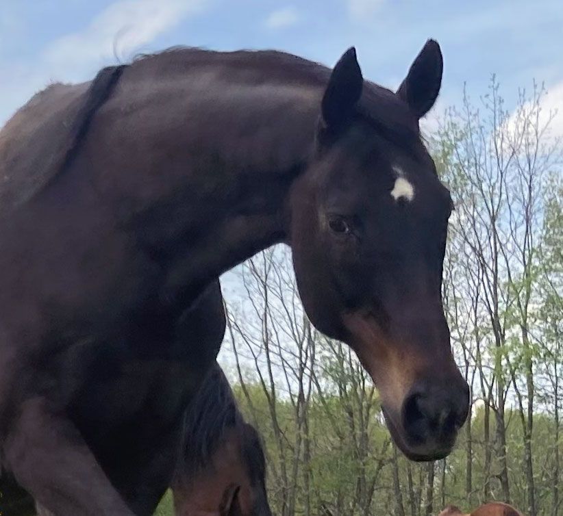Shoes and Peppermints for Lilli Shoes and Peppermints for Lilli