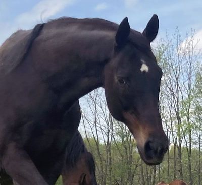 Shoes and Peppermints for Lilli
