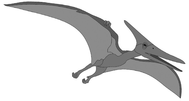 Pterodactyl Dinosaur