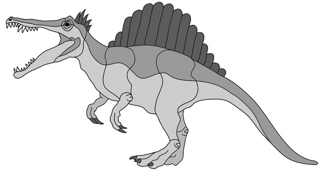 Spinosaurus Dinosaur