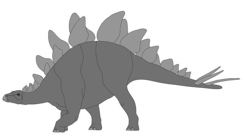 Stegosaurus Dinosaur