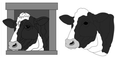Holstein Cow