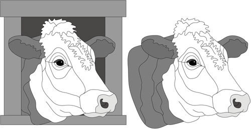 Hereford Cow