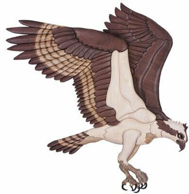 Birds of Prey