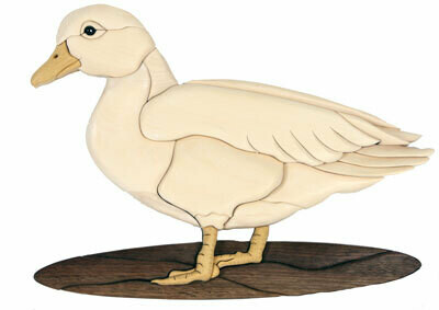 Ducks and Geese