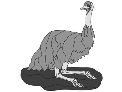 Emu