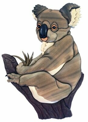 Australian Animals