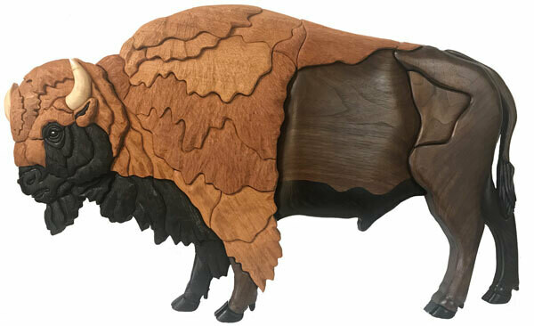 Bison Bull