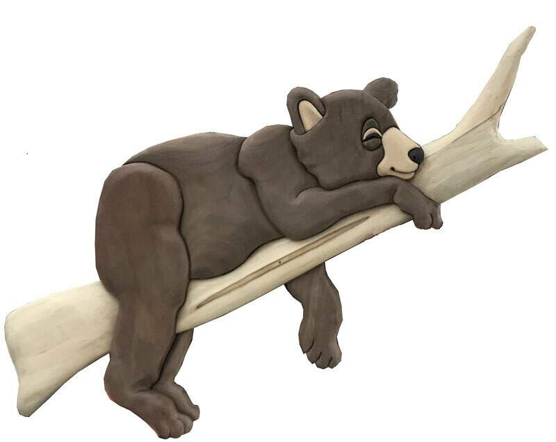 Bear Cub on Branch