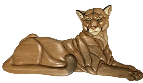 Mountain Lion lying