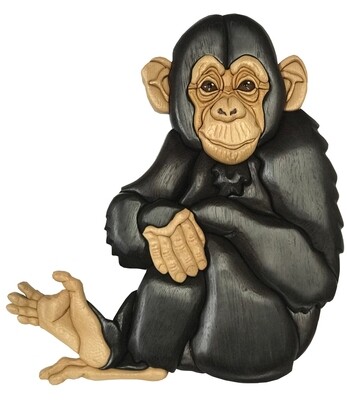 Chimp