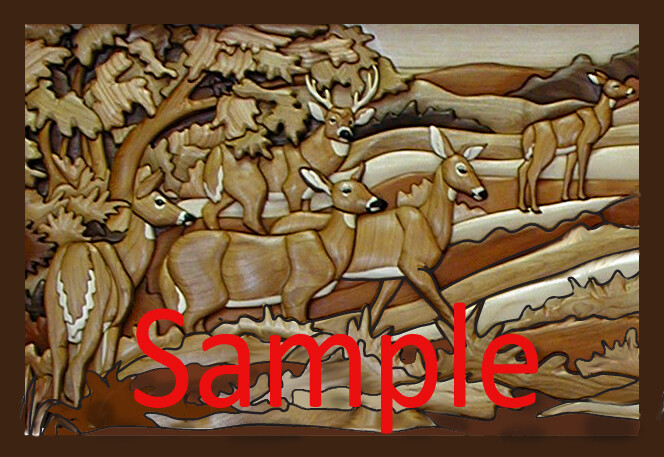 Whitetail Deer Woods