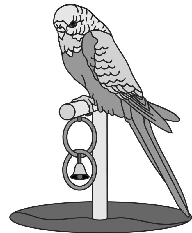 Parakeet