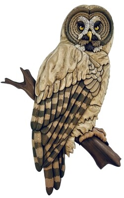 Great Grey Owl