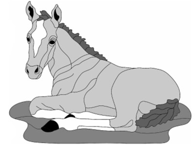 Lying Colt Oversized