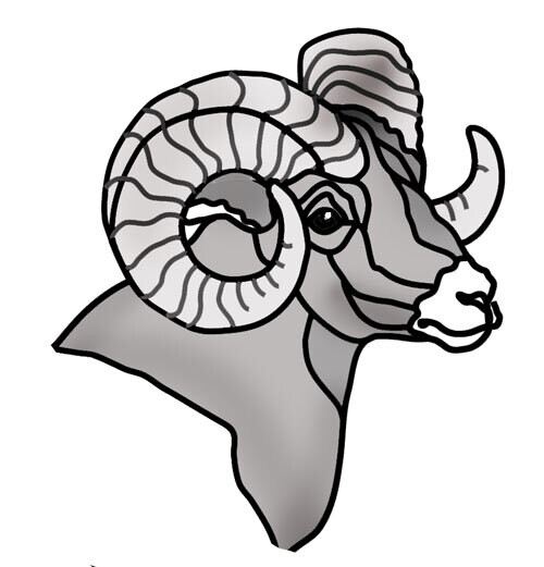 Bighorn Ram Head #2
