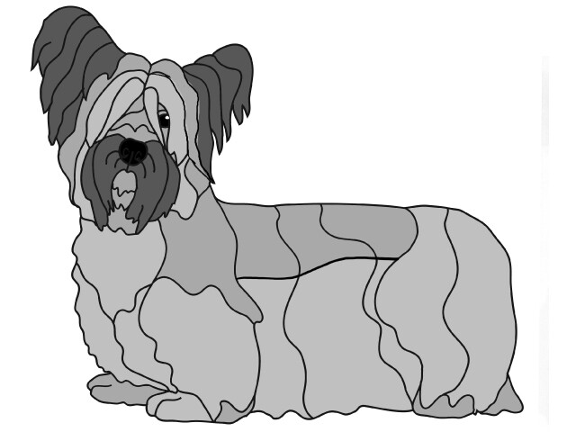 Sky Terrier